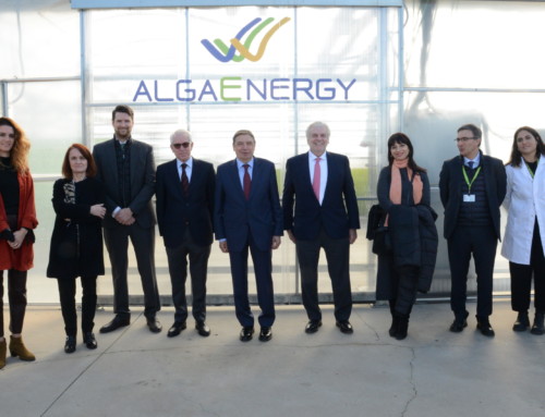 El Ministro de Agricultura Luis Planas visita la planta tecnológica de microalgas de AlgaEnergy