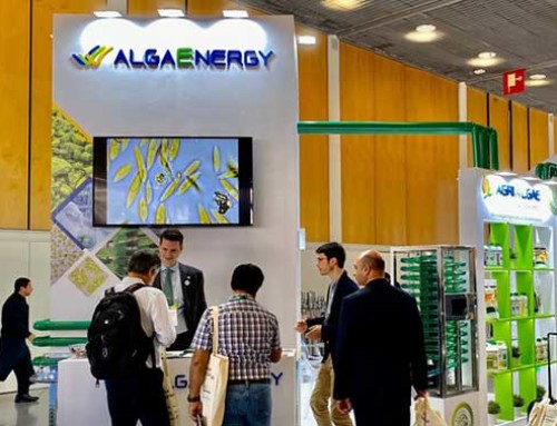AlgaEnergy Altın Sponsor olarak Biyostimülan Dünya Kongresine katılımını teyit etti