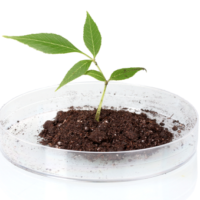 AlgaEnergy Product™ - Image 4
