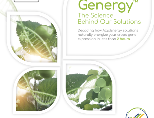 Genergy™: The Science Behind AlgaEnergy Solutions